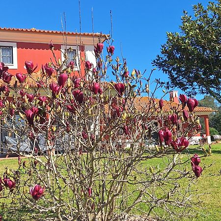 Casa Da Ria - Turismo Rural Ílhavo Exterior foto